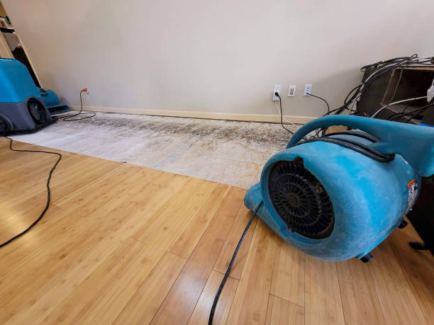 Professional Structural Drying technician working in Whiteland, IN